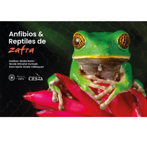 Anfibios & Reptiles de Zafra